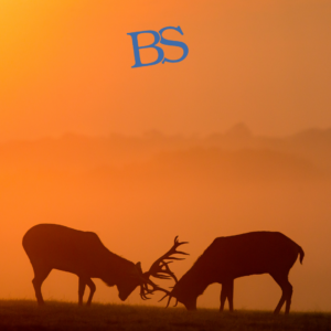 Las licencias necesarias para cazar