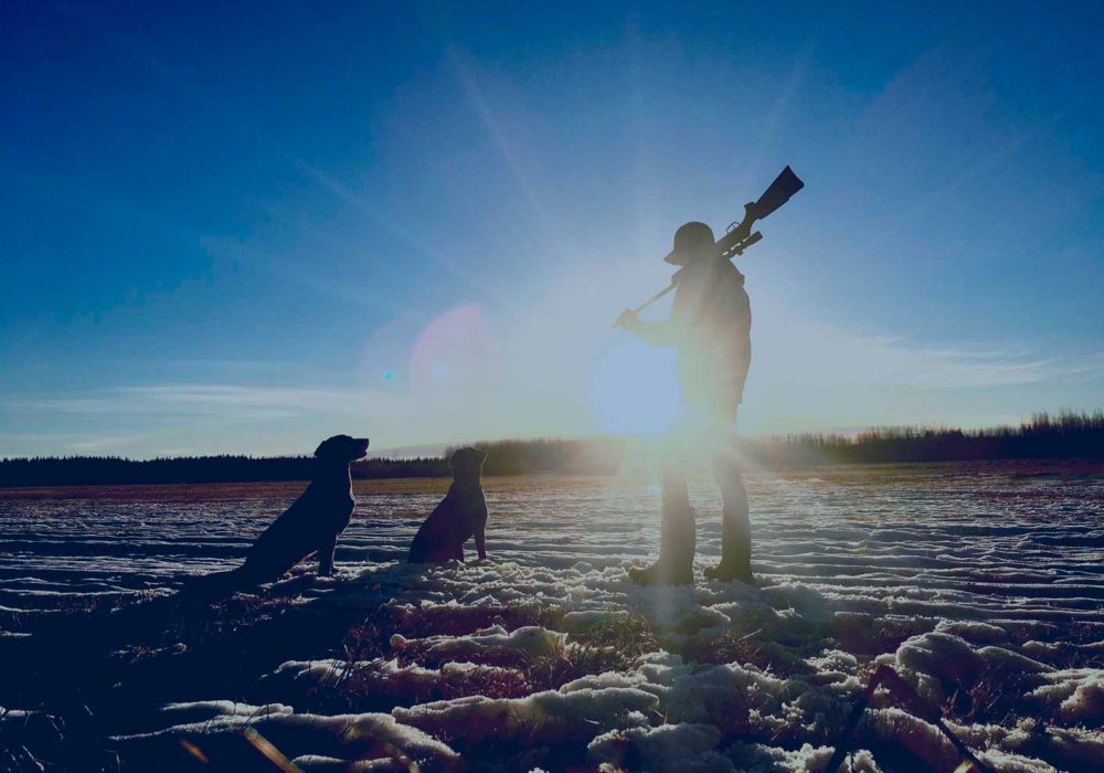 Derecho Medioambiental