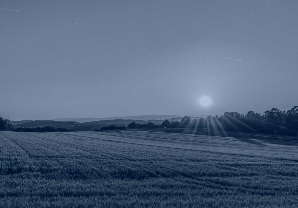 abogados-para-cazadores-en-sevilla